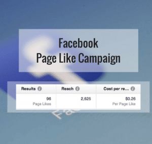 Facebook Like Campaign