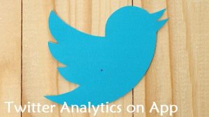 Twitter Analytics on App